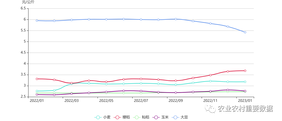 粮食企业收购数据分析，洞察市场动态与提升供应链效率的关键路径，粮食企业收购数据分析，洞悉市场动态与提升供应链效率之道