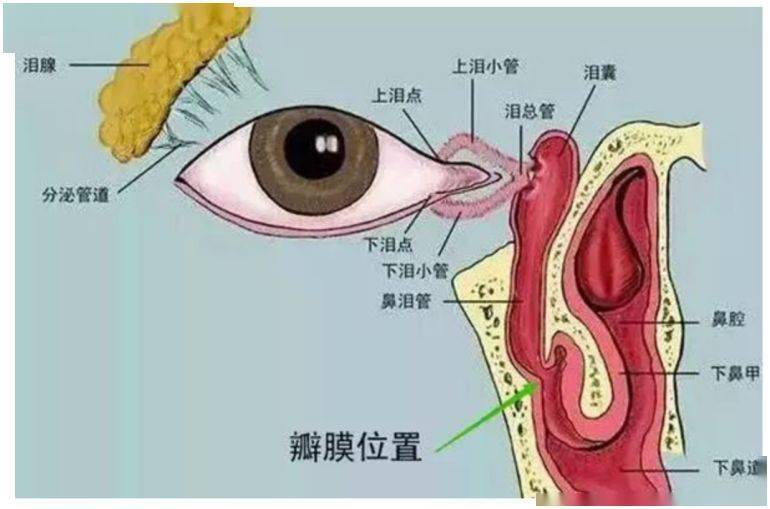 第3338页